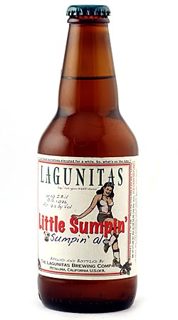 Lagunitas - Little Sumpin - Shoppers Vineyard
